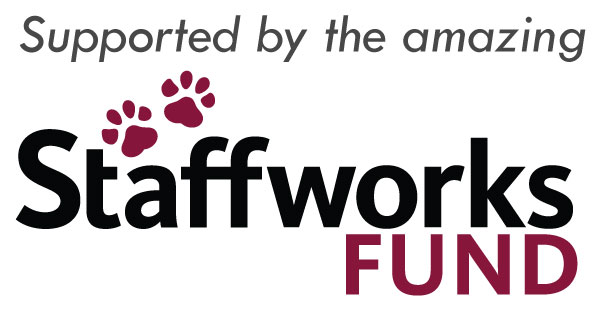 Cny Cat Coalition Adoption Application Latest Pros