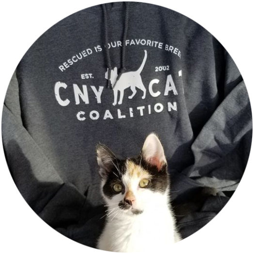 CNYCC Clothing CNY Cat Coalition